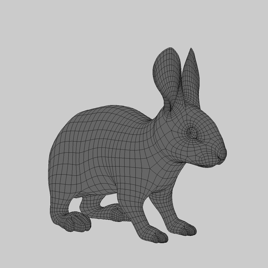 3d model rabbit cream fur animation
