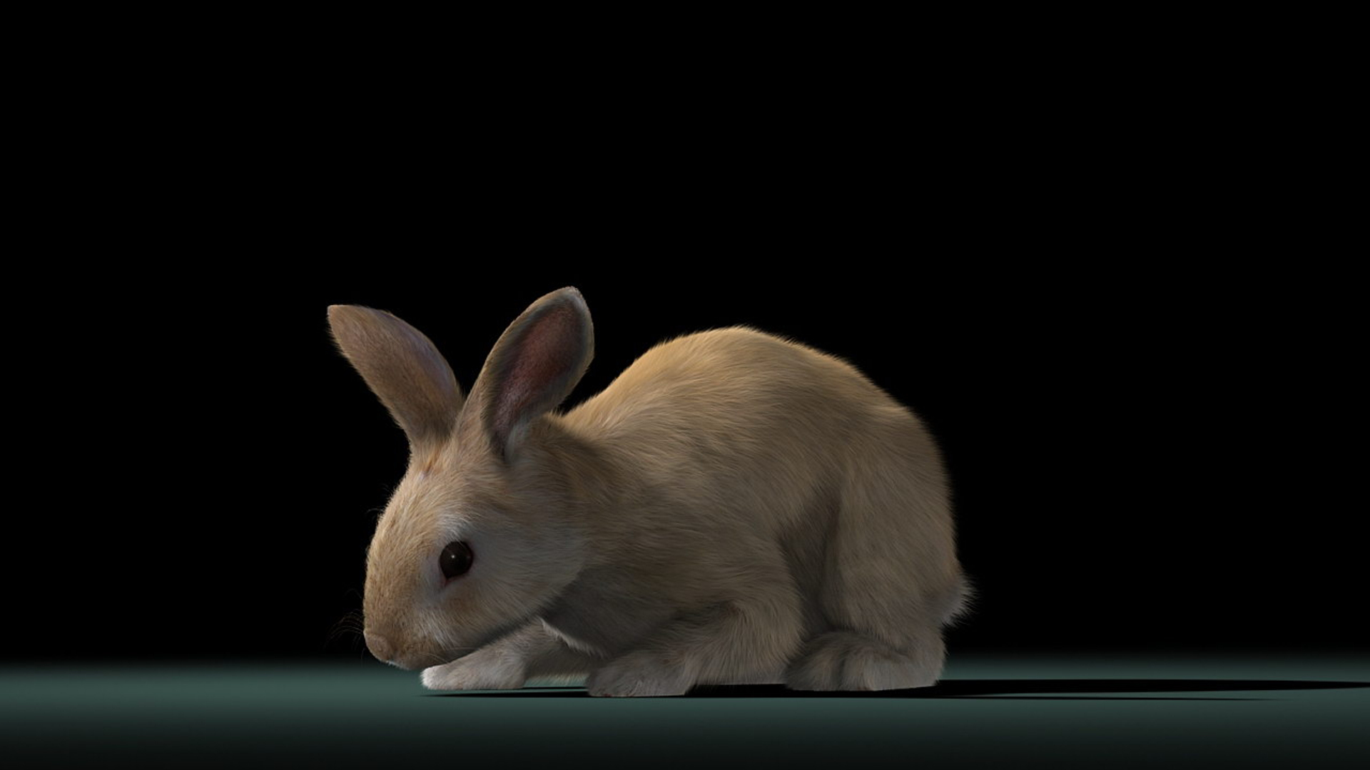 3d model rabbit cream fur animation