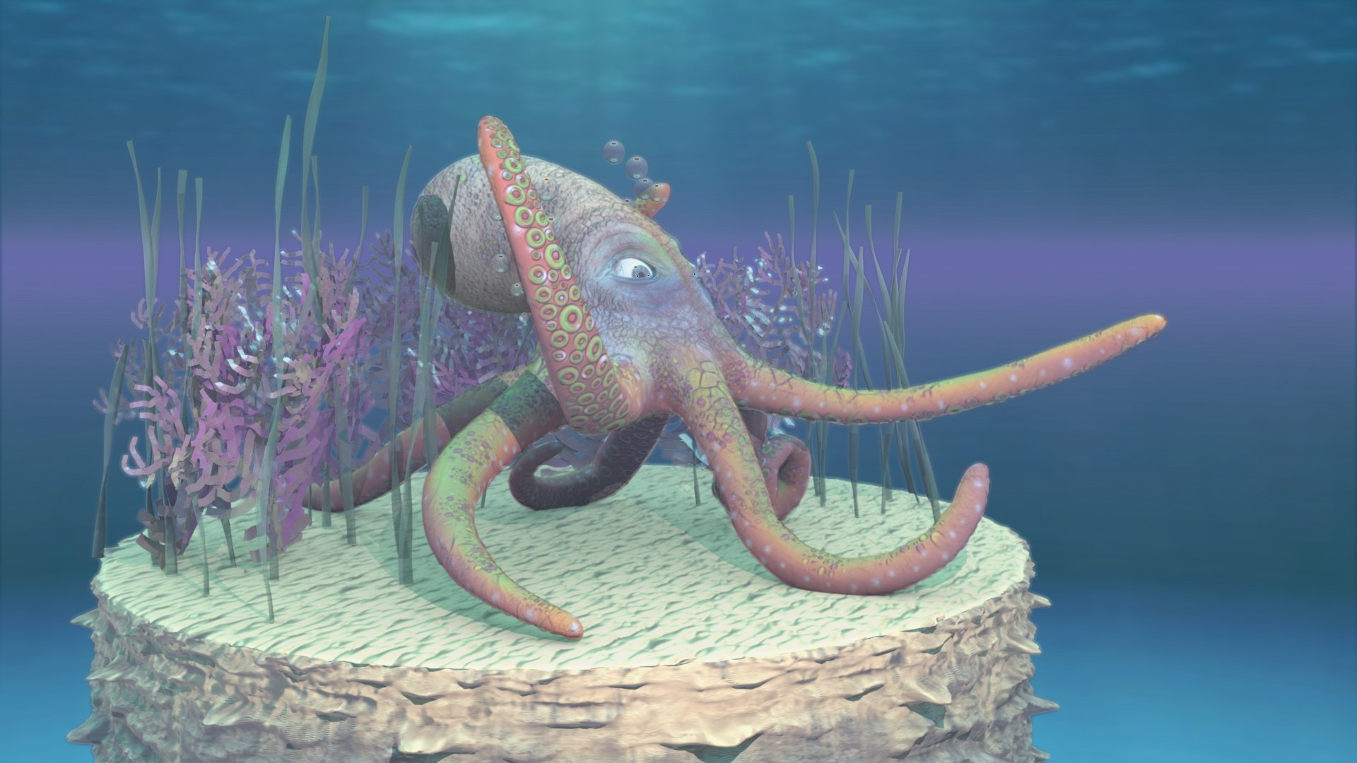 3D Octopus Rigged model - TurboSquid 1792271