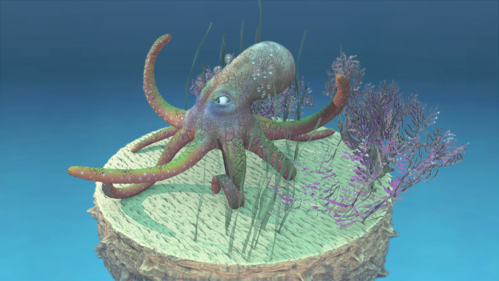 3D Octopus Rigged model - TurboSquid 1792271