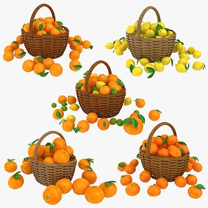 3D model realistic citrus basket