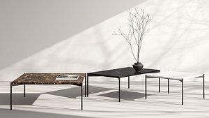 3D Plateau Rectangular Coffee Table