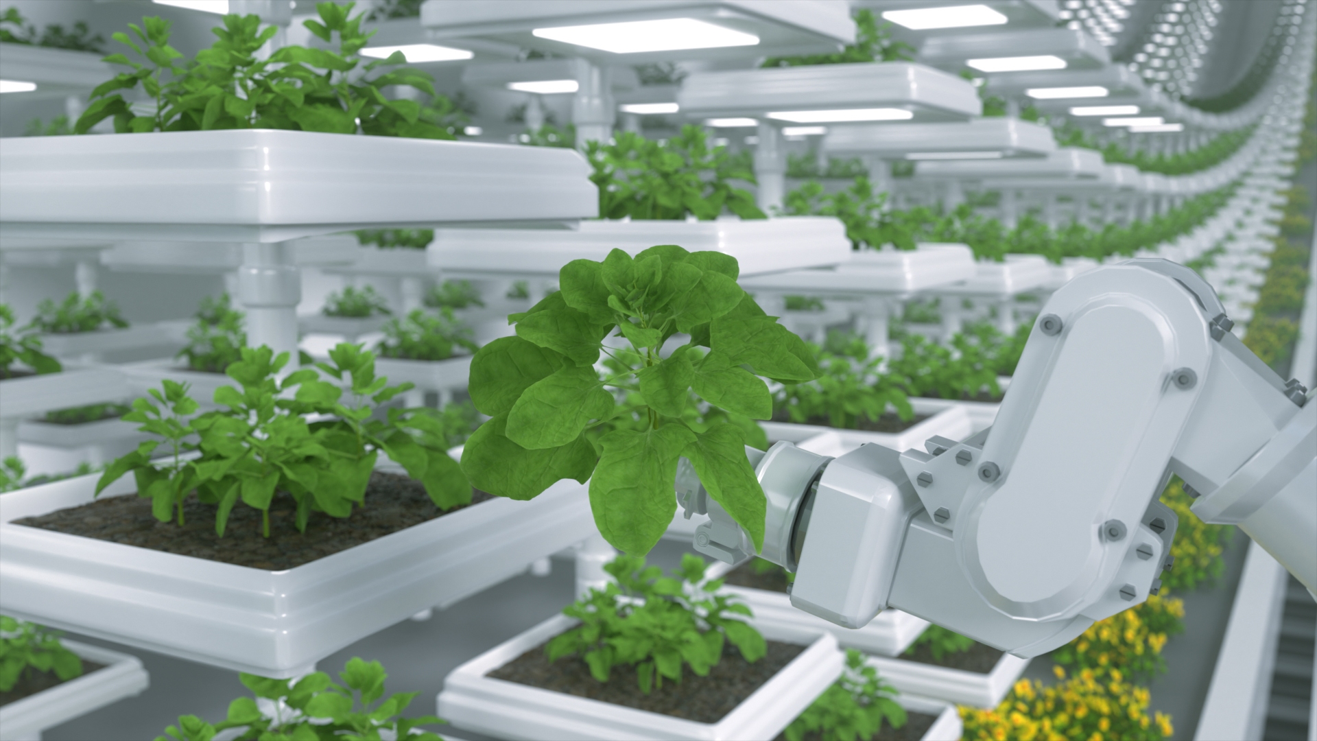 C4D technology agricultural animation scene 3D model https://p.turbosquid.com/ts-thumb/Dx/GtjsAH/7N/3/jpg/1782174280/1920x1080/turn_fit_q99/e8a607b78a5bb61f290c43ce32002d0dd13cbd64/3-1.jpg