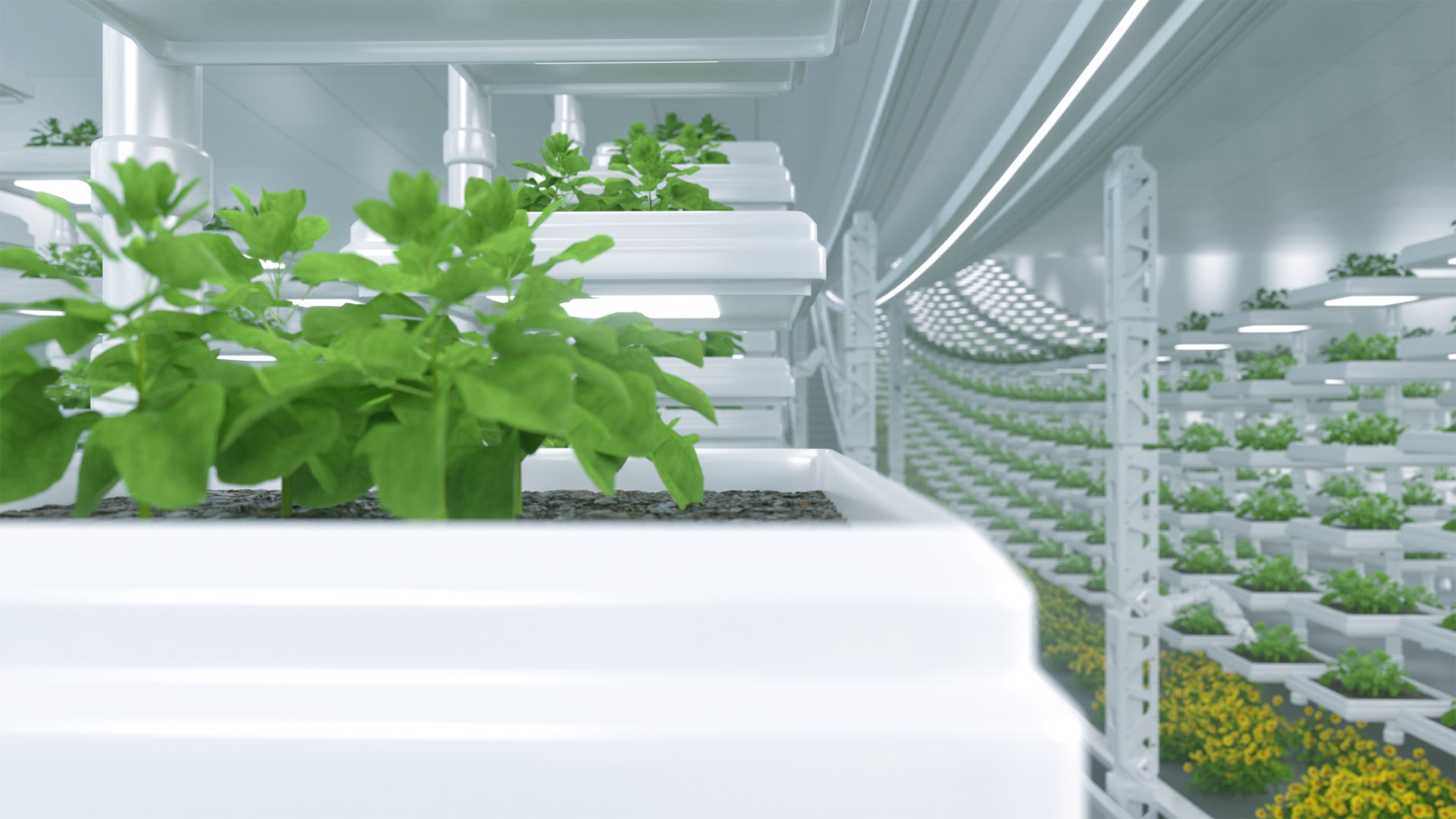 C4D technology agricultural animation scene 3D model https://p.turbosquid.com/ts-thumb/Dx/GtjsAH/Ed/00138/png/1782173848/1920x1080/fit_q87/21ac1ef43bbd18e1df61eafc1d7b5b2d5a0b98b6/00138.jpg