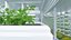 Animazione di una scena agricola realizzata con tecnologia C4D.