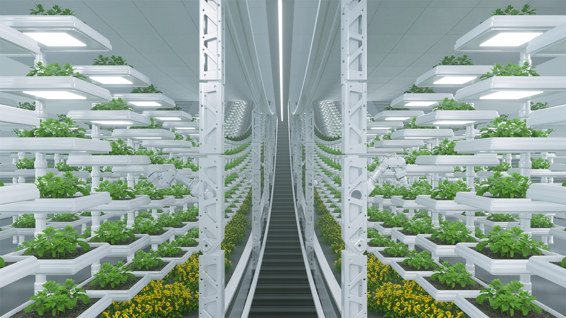 C4D technology agricultural animation scene 3D model https://p.turbosquid.com/ts-thumb/Dx/GtjsAH/aJ/00398/png/1782173851/1920x1080/fit_q87/4e861e9f89386eecb2969fb3b2cf7c91b4083dbd/00398.jpg