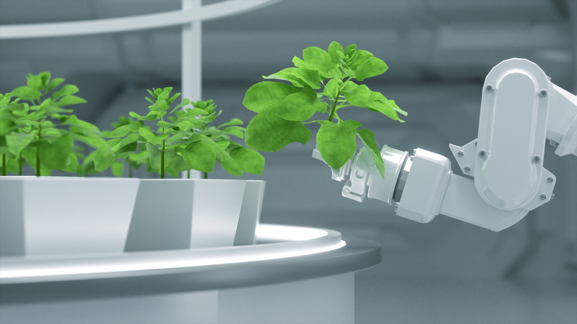 C4D technology agricultural animation scene 3D model https://p.turbosquid.com/ts-thumb/Dx/GtjsAH/hW/1/jpg/1782174236/1920x1080/turn_fit_q99/7c5baf42fb60fb1cae8411668819206f19bd31d9/1-1.jpg