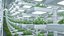 Animazione di una scena agricola realizzata con tecnologia C4D.