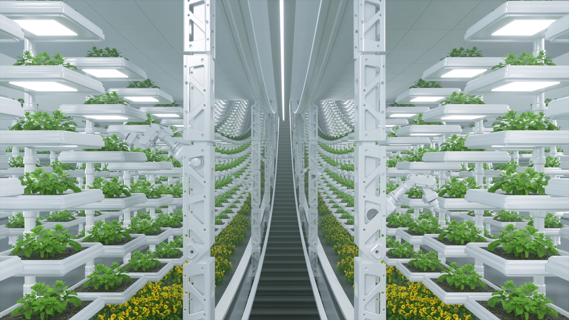 C4D technology agricultural animation scene 3D model https://p.turbosquid.com/ts-thumb/Dx/GtjsAH/p2/5/jpg/1782174335/1920x1080/turn_fit_q99/3e7fe58997ea6edf3d9991b6abd80d62311e43a2/5-1.jpg
