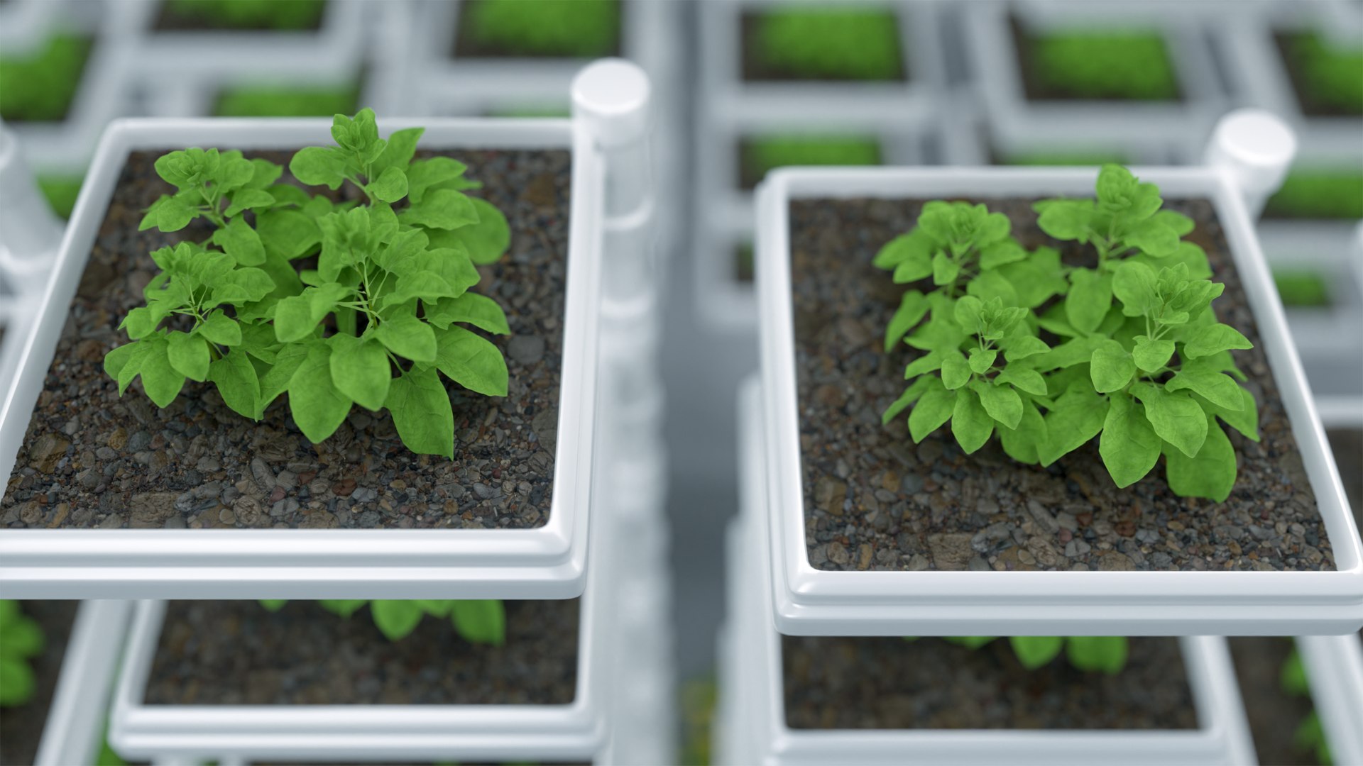 C4D technology agricultural animation scene 3D model https://p.turbosquid.com/ts-thumb/Dx/GtjsAH/wP/00272/png/1782173855/1920x1080/fit_q87/eed51d0f3e5f5816169645fc48ca6b5f9e3fb949/00272.jpg
