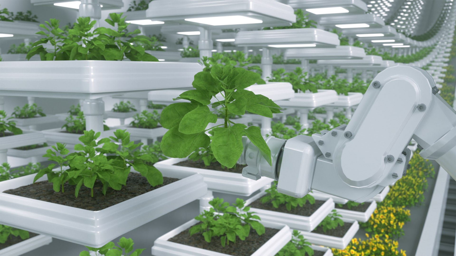 C4D technology agricultural animation scene 3D model https://p.turbosquid.com/ts-thumb/Dx/GtjsAH/yt/00211/png/1782173849/1920x1080/fit_q87/d07418d206fc068d3dd3a751fdf65a6425638964/00211.jpg