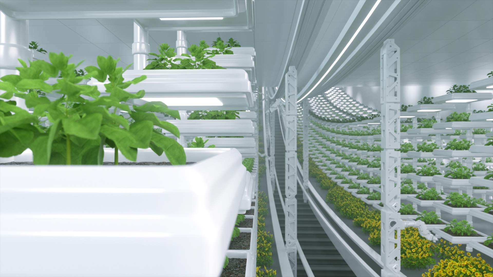 C4D technology agricultural animation scene 3D model https://p.turbosquid.com/ts-thumb/Dx/GtjsAH/zv/2/jpg/1782174257/1920x1080/turn_fit_q99/20e4a76dd12ca7e34b98d498597ac4e8cfff556d/2-1.jpg