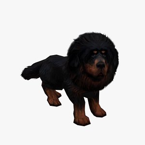 Tibetan Mastiff Dog 3D