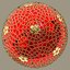 boule de Noel