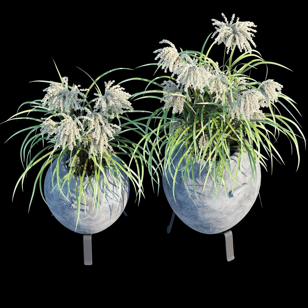 3D Tuscan Two Model - TurboSquid 2399671