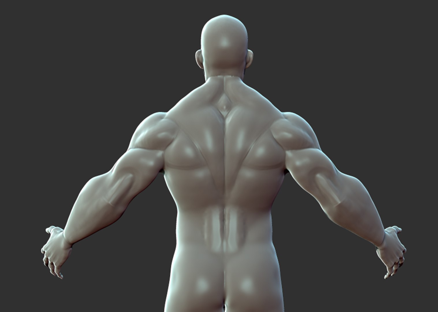 Superhero Anatomy Base Sculpture 3D Model - TurboSquid 1519365