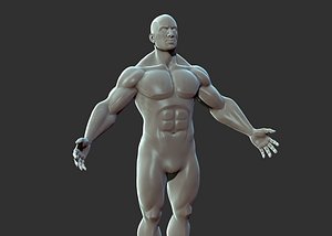 superhero anatomy base sculpture 3D model