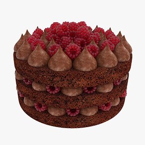 Raspberry chocolate cake model