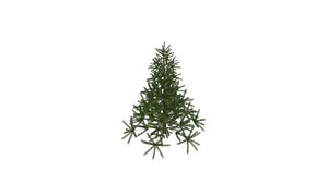 Pine Tree 3D model