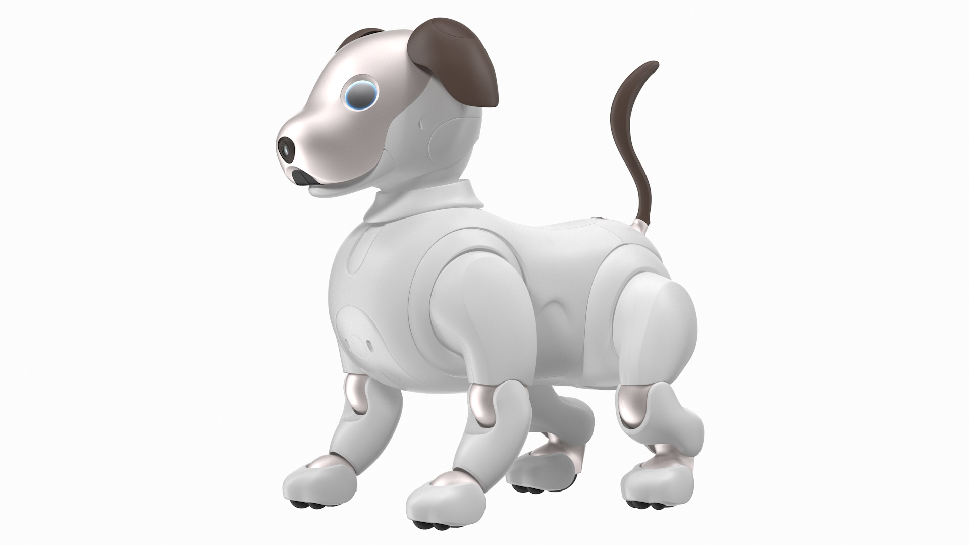 Pet Rock - 3D Model for VRay