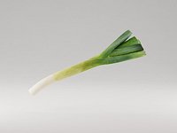 Leek