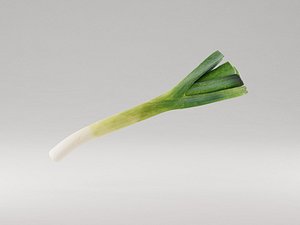 Leek