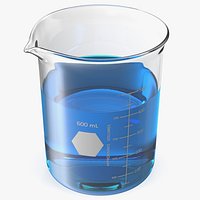 Glass Beaker 600 mL
