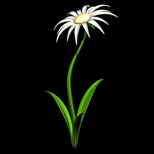 daisy flower flora 3D model
