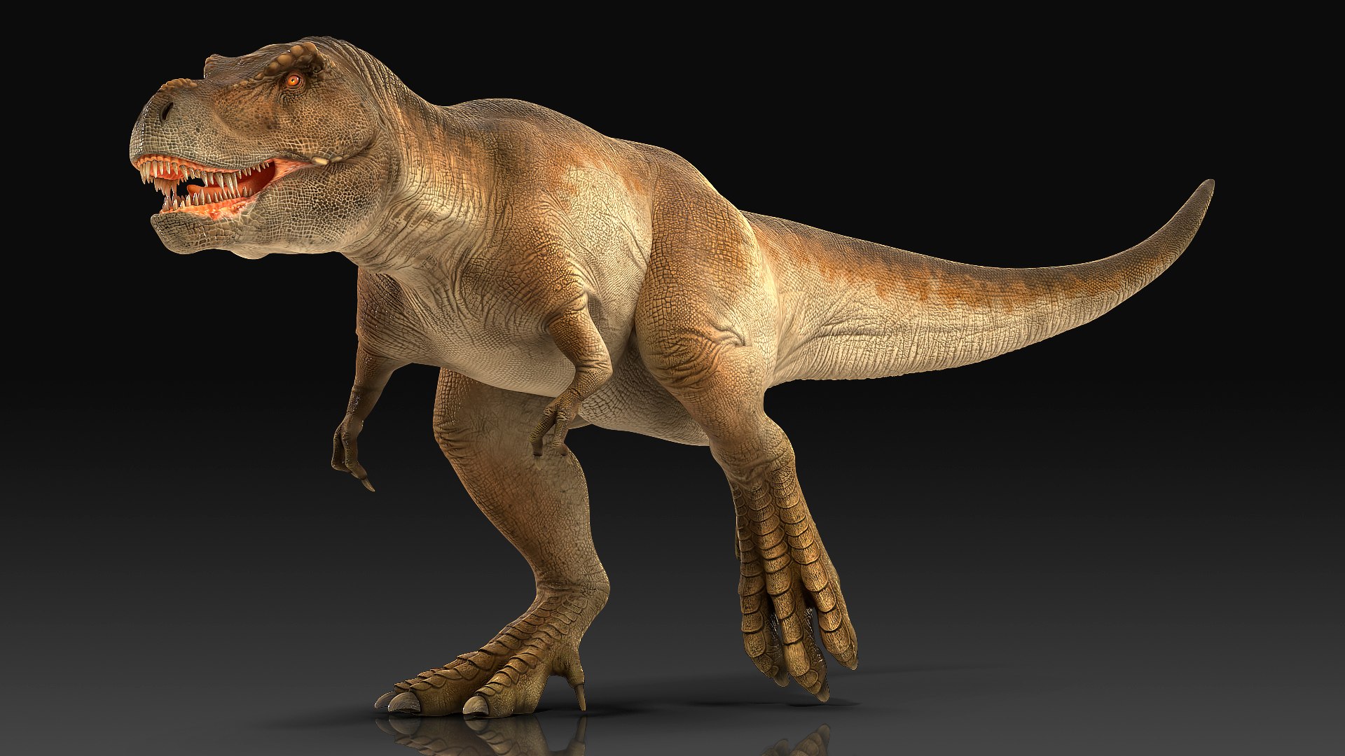 Tyrannosaurus rex running animal 3D model - TurboSquid 1566262