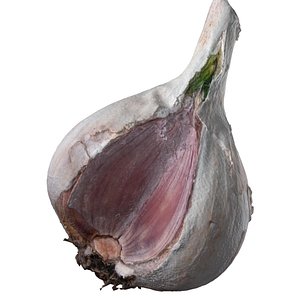 3ds garlic plant vegetable food