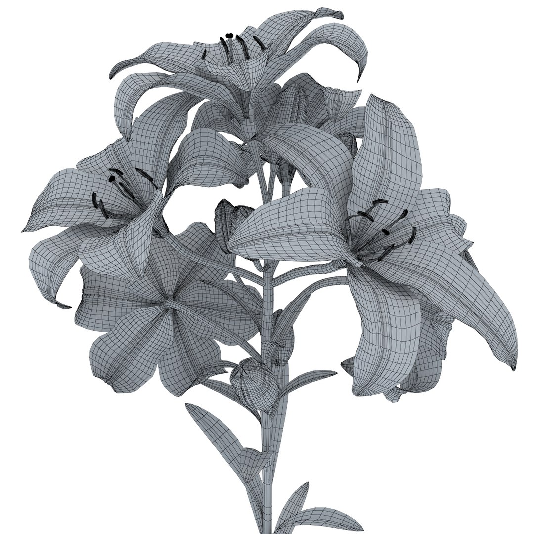 3D tiger pink lily https://p.turbosquid.com/ts-thumb/Dy/NKr5ro/29LzhPGh/flower_lily_0001/jpg/1492616423/1920x1080/fit_q87/f35aa0ed6519e9edd41caa7f99e46ece6121a209/flower_lily_0001.jpg