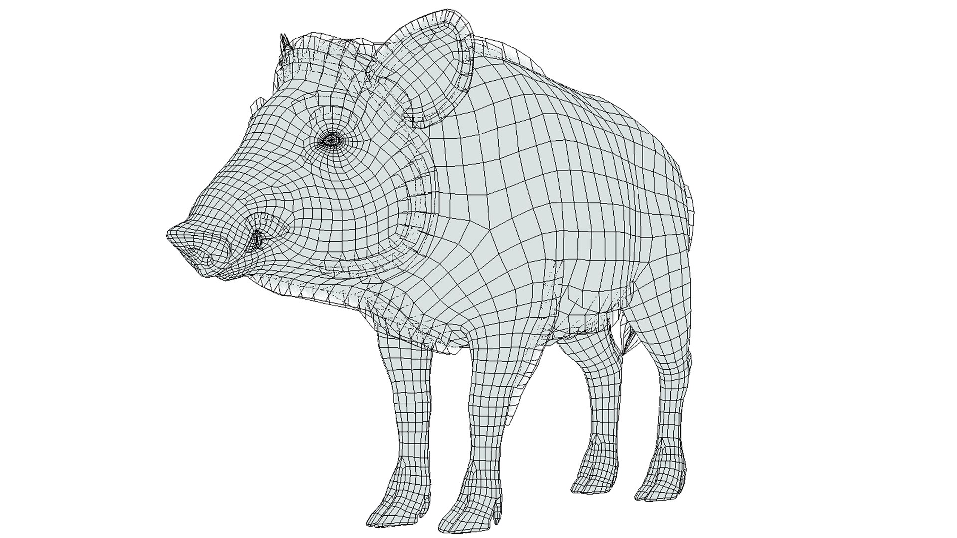 3D Wild Boar - Female model https://p.turbosquid.com/ts-thumb/Dy/Ne8sSd/O4/wire/png/1689873011/1920x1080/fit_q87/392909b97547b88d6e3690f12992dd9d909e2ca6/wire.jpg