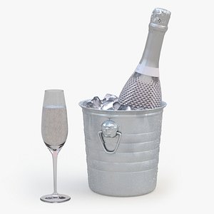 Sparkling Wine Freixenet Rose in a Bucket of Ice model