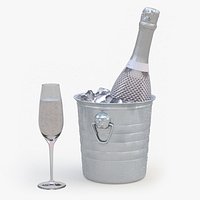 Sparkling Wine Freixenet Rose in a Bucket of Ice
