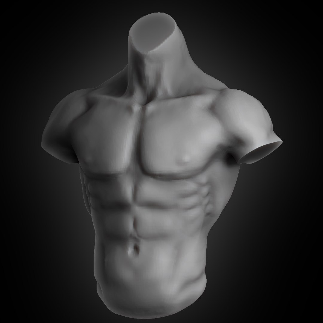 3D human muscular torso - TurboSquid 1694199