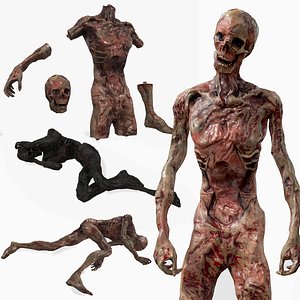 Human Corpse Asset