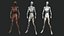 Recurso de cadáver humano