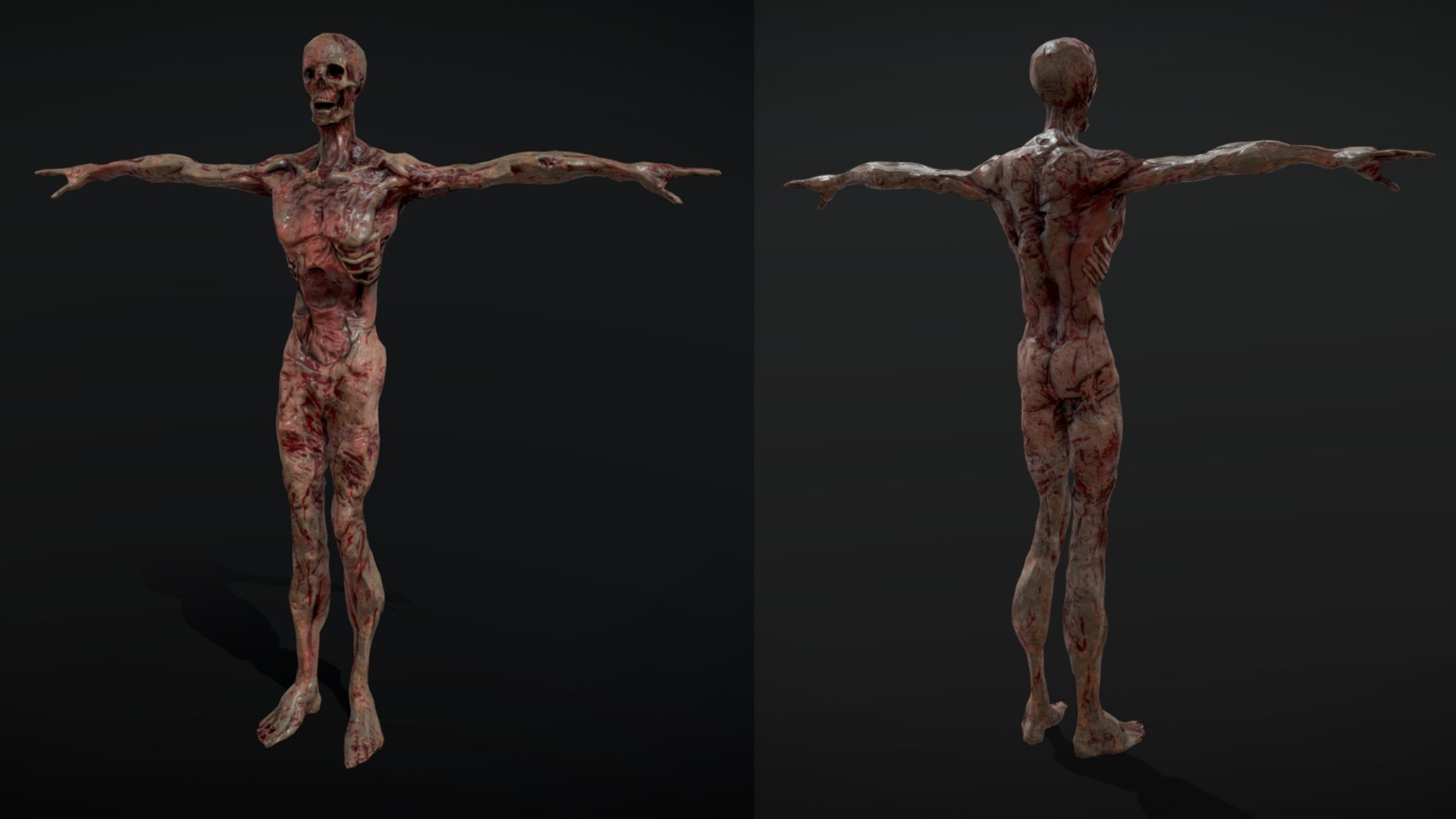 3D Human Corpse Asset model https://p.turbosquid.com/ts-thumb/Dz/9rBgeS/mD/p10/png/1665158646/1920x1080/fit_q87/3dc05be64e2b4da5ec6fa44c17968dc3791414f2/p10.jpg