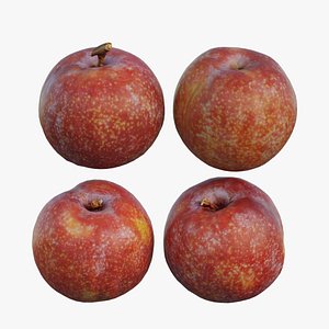 3D Plum 05