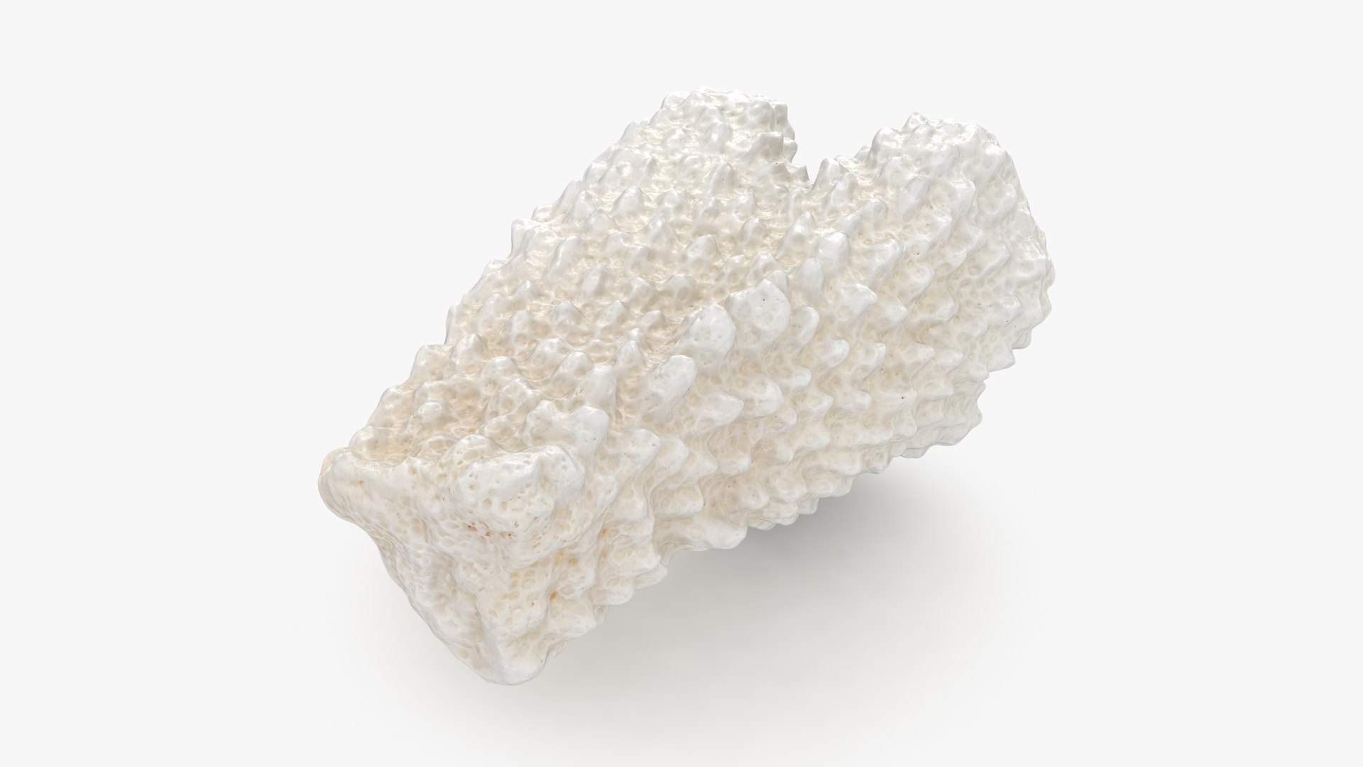 3D model Acropora Florida 02 https://p.turbosquid.com/ts-thumb/Dz/MmakVJ/5m/acroporaflorida02_b0018/jpg/1695637051/1920x1080/fit_q87/639ab248173785cf5ec257b865b20e5492e951f7/acroporaflorida02_b0018.jpg