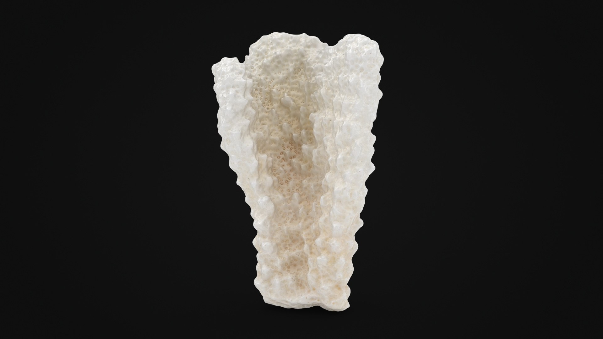 3D White Coral Collection https://p.turbosquid.com/ts-thumb/Dz/MmakVJ/S0/acroporaflorida02_a0001/jpg/1789778194/1920x1080/fit_q87/58077e74c2bf032b0bd598d0b189e4987690c273/acroporaflorida02_a0001.jpg