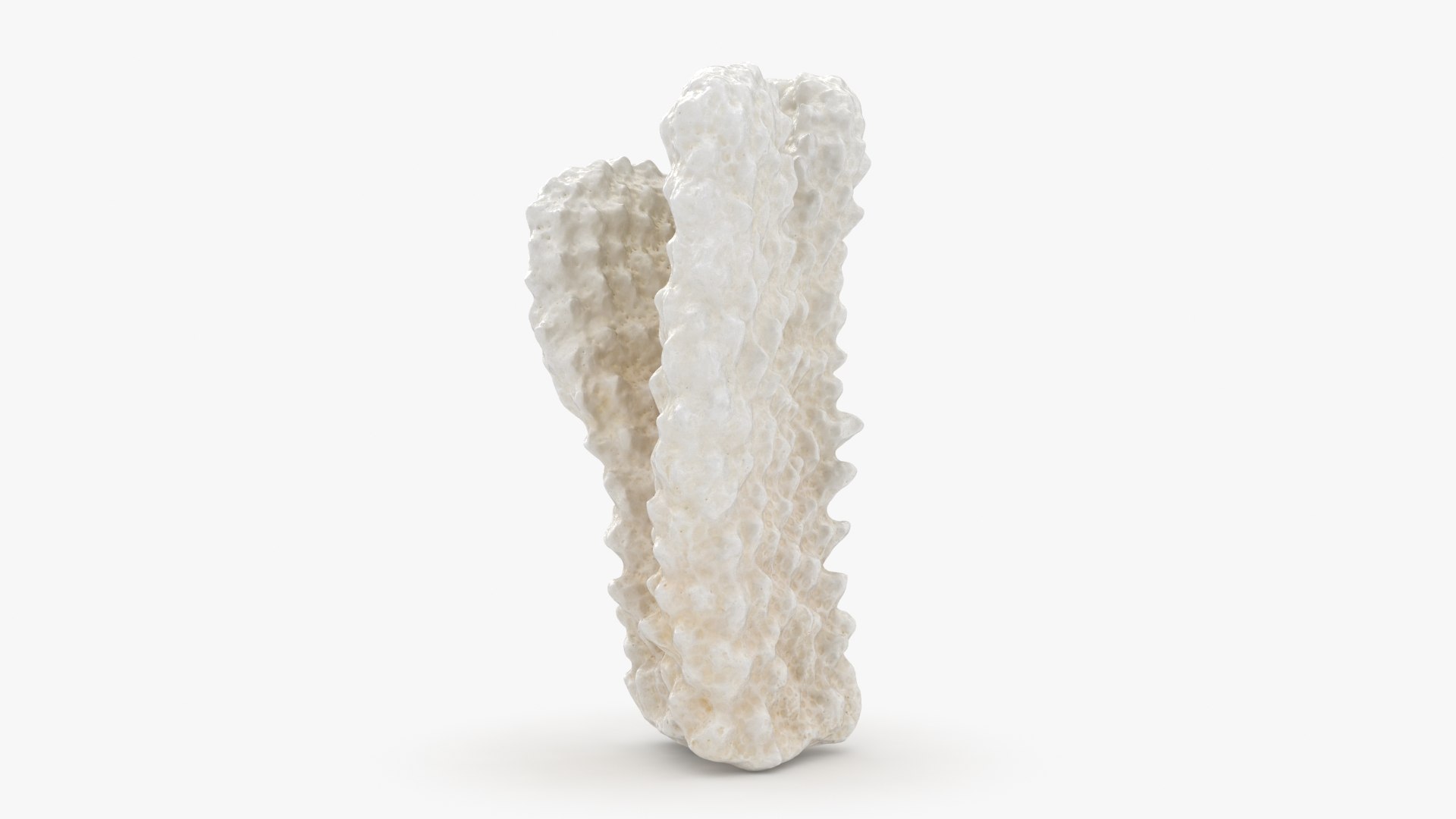 3D model Acropora Florida 02 https://p.turbosquid.com/ts-thumb/Dz/MmakVJ/hB/acroporaflorida02_b0004/jpg/1695637044/1920x1080/fit_q87/09cb3ea9c43583d49445feb343601afad4dc1c12/acroporaflorida02_b0004.jpg