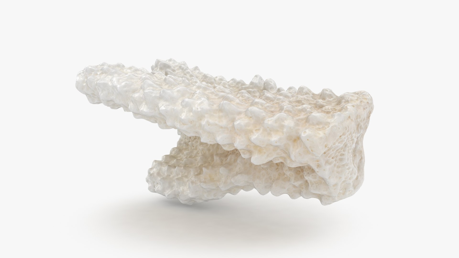 3D model Acropora Florida 02 https://p.turbosquid.com/ts-thumb/Dz/MmakVJ/ku/acroporaflorida02_b0020/jpg/1695637052/1920x1080/fit_q87/b55c490117f482608f016e8a4930c1333799a3a0/acroporaflorida02_b0020.jpg
