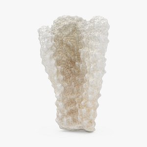 Acropora Florida 02