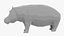 Cartoon Hippopotamus