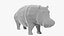 Cartoon Hippopotamus