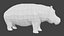 Cartoon Hippopotamus