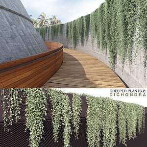 Dichondra Plants (+GrowFX)