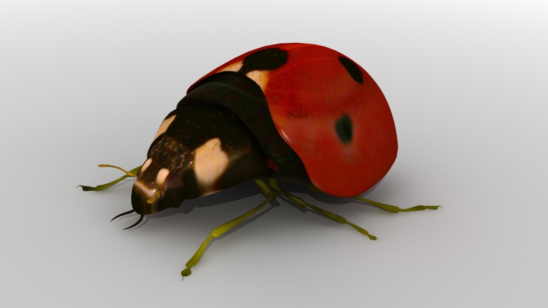 3D illustration lady bug in nature set 21596601 PNG