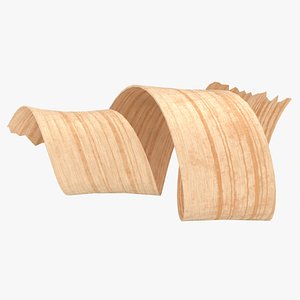 Wood Shavings 04